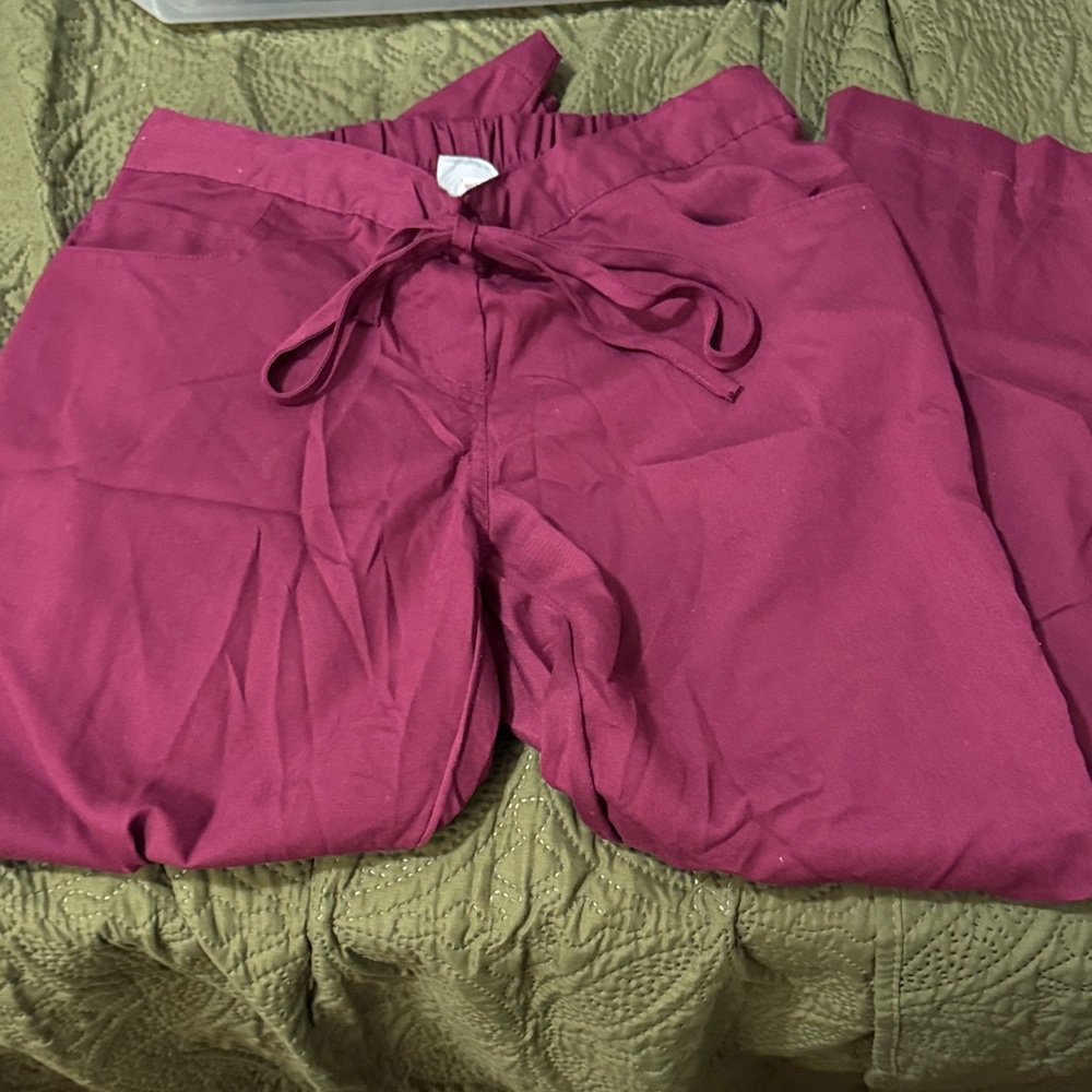 Grey's Anatomy Scrub Pants in Berry